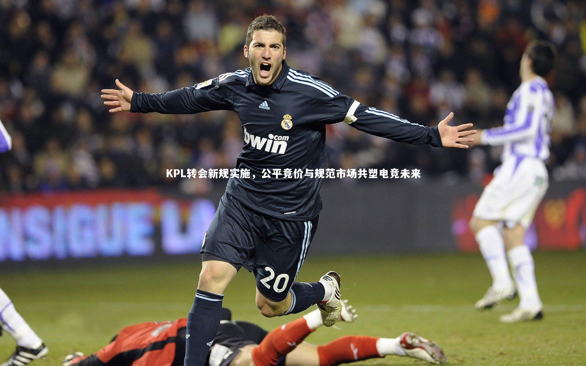 KPL转会新规实施,公平竞价与规范市场共塑电竞未来